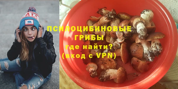 мдпв Балахна