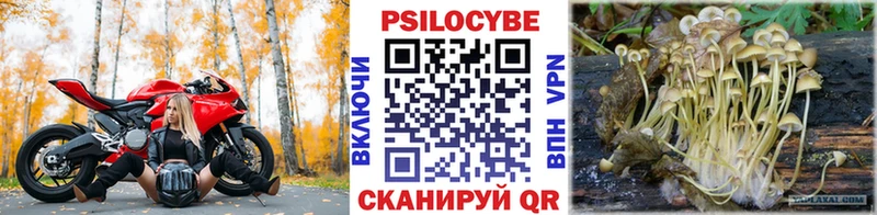 что такое   Гвардейск  Галлюциногенные грибы Magic Shrooms 